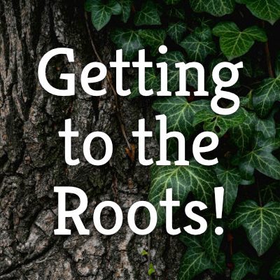 getting to the roots